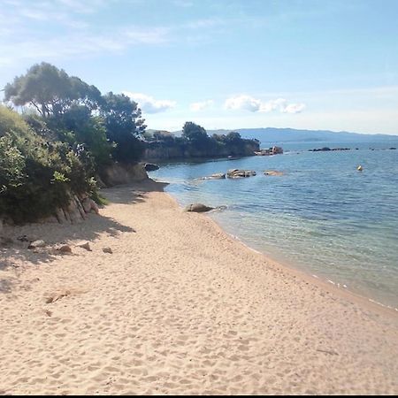 Magnifique T2 Ajaccio Daire Ajaccio  Dış mekan fotoğraf