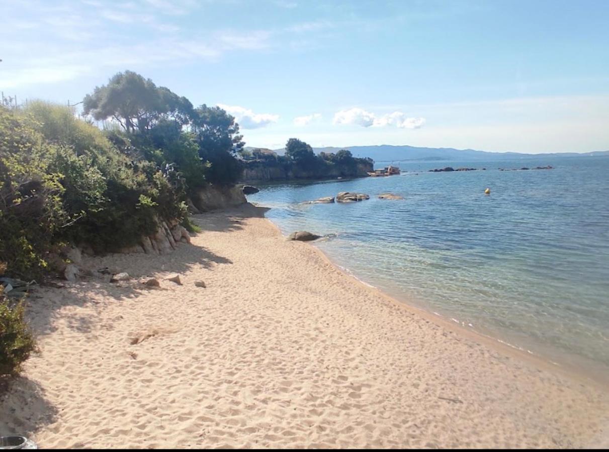Magnifique T2 Ajaccio Daire Ajaccio  Dış mekan fotoğraf